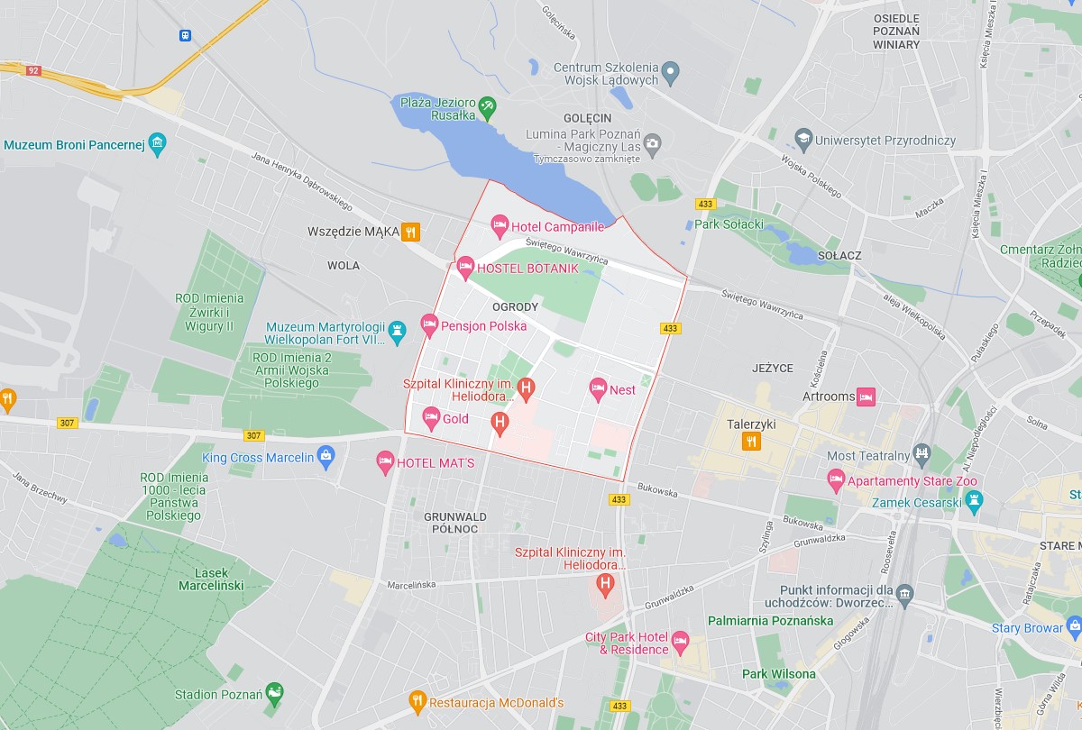Pozycjonowanie Poznań Ogrody - profesjonalne pozycjonowanie Google