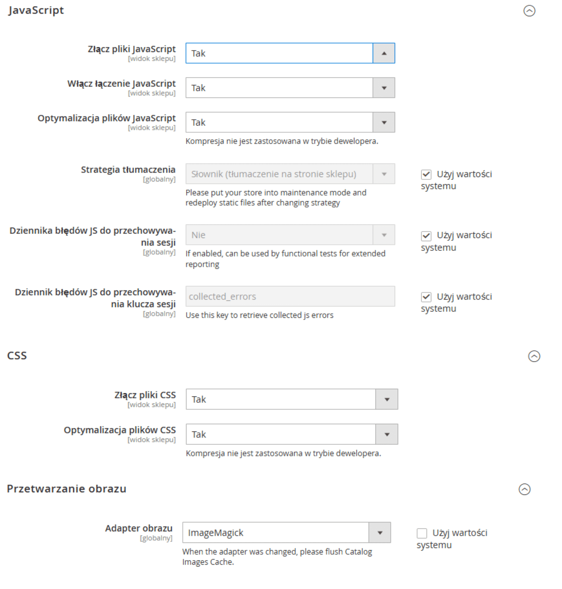 Pozycjonowanie sklepu internetowego Magento - ustawienia optymalizacji prędkości sklepu